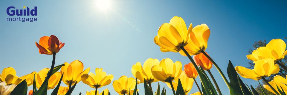 Guild Mortgage Header
